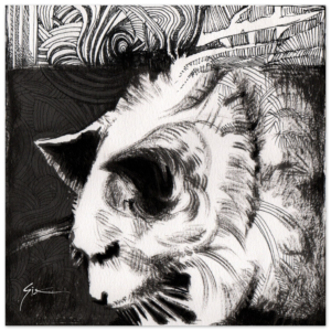 54db094f-f986-4bb8-bec3-7e019ce2e0dc