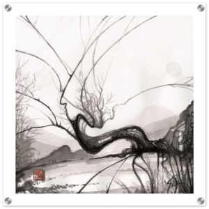 d7ac54e8-a52b-4e82-b402-8a5b7e93dda0